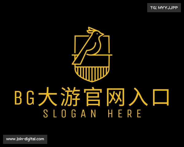 关于bg大游官网官方平台